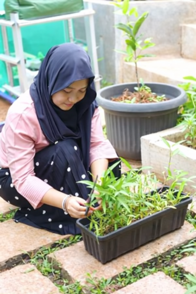 1c2da3d0 dc3c 4bc6 86e4 9458d605014c