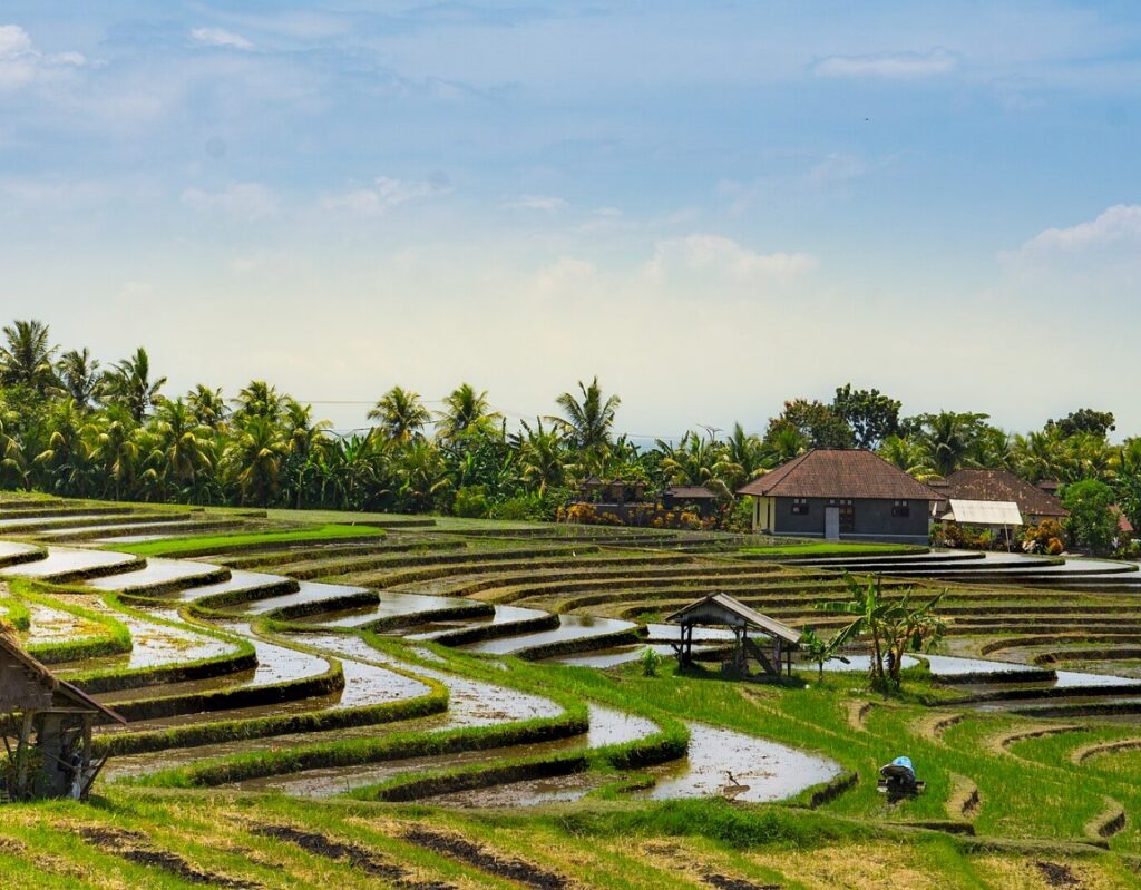 whatsapp image 2026 02 18 at 17.29.55