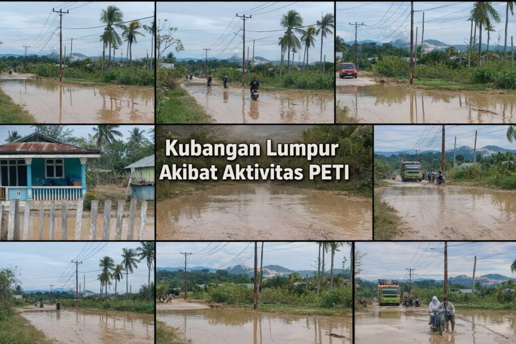 whatsapp image 2026 03 02 at 12.03.46