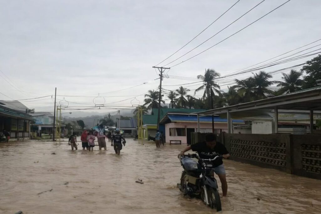 whatsapp image 2026 03 08 at 08.10.04